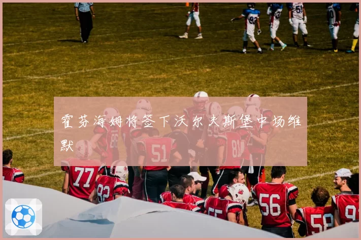 霍芬海姆将签下沃尔夫斯堡中场维默