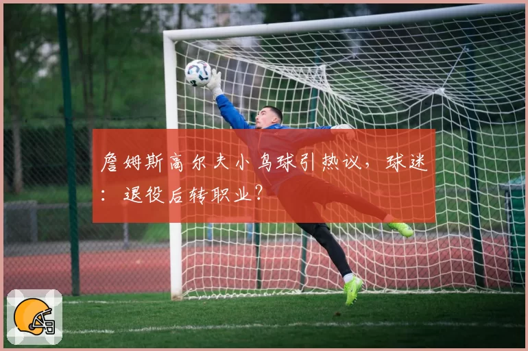 詹姆斯高尔夫小鸟球引热议，球迷：退役后转职业？