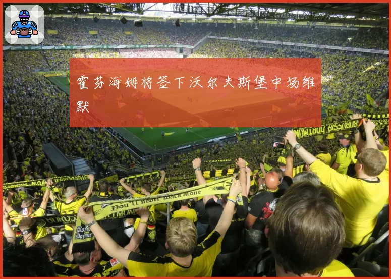 霍芬海姆将签下沃尔夫斯堡中场维默